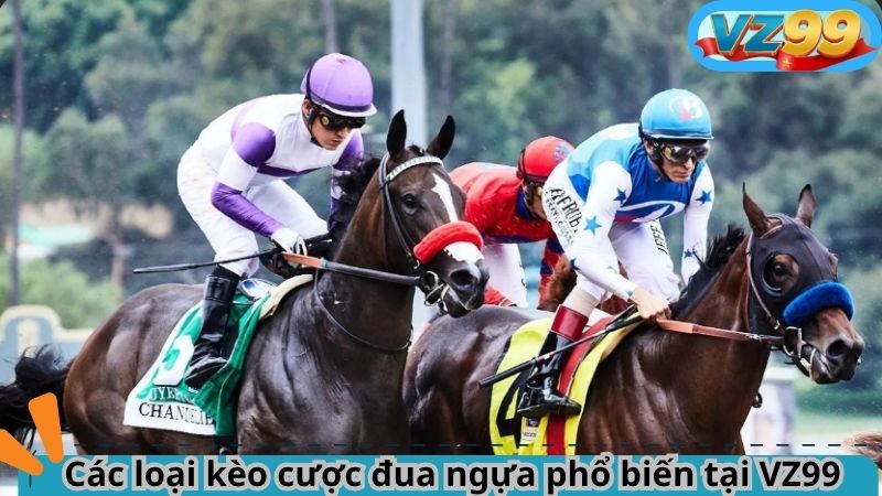 Các loại kèo cược đua ngựa phổ biến tại VZ99