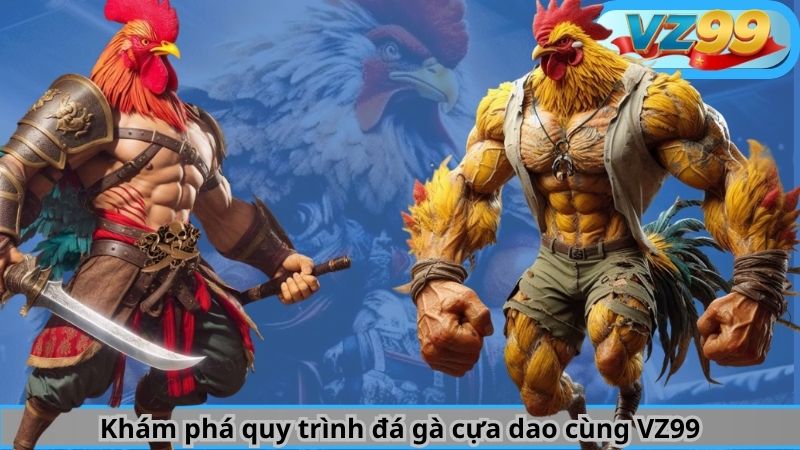 Khám phá quy trình đá gà cựa dao cùng VZ99