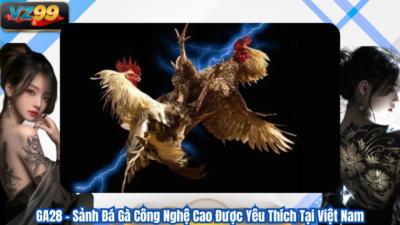 GA28 – Sảnh Đá Gà Công Nghệ Cao Được Yêu Thích Tại Việt Nam