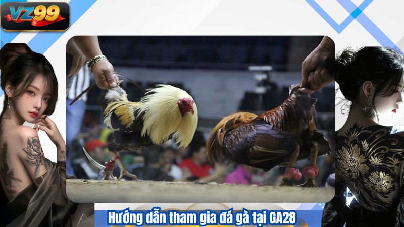 Hướng dẫn tham gia đá gà tại GA28