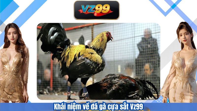 Khái niệm về đá gà cựa sắt Vz99